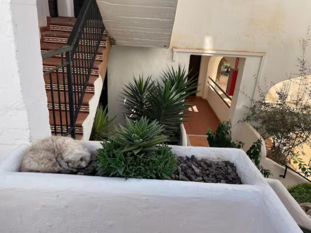 Pueblo Evita Apartment In Exclusive Holiday Complex Benalmádena Esterno foto